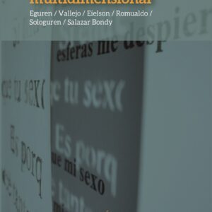 El poema multidimensional: Eguren / Vallejo / Eielson / Romualdo / Sologuren / Salazar Bondy